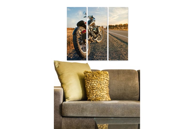 Tavla Vehicle 3-pack Flerfärgad - 20x50 cm - Inredning - Tavlor & konst - Canvastavlor