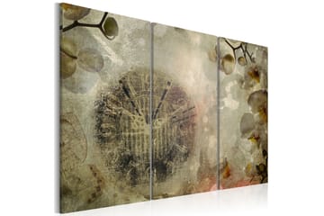 Tavla Vintage Clock And Orchid Triptych 60x40