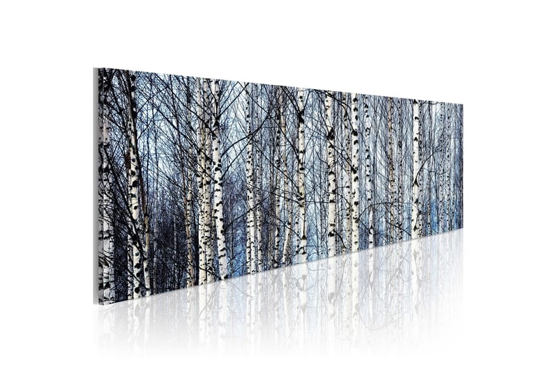 Tavla Vita Björkar 135x45 cm, undefined