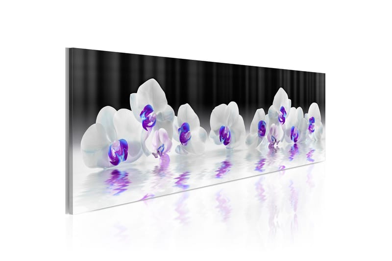 Tavla Water Orchids 120x40 - Artgeist sp. z o. o. - Inredning - Tavlor & konst - Canvastavlor