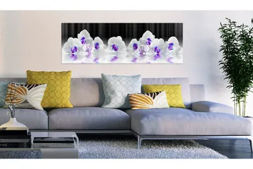 Tavla Water Orchids 135x45 - Artgeist sp. z o. o. - Inredning - Tavlor & konst - Canvastavlor