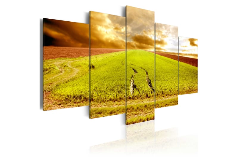 Tavla Wheels Traces On A Field 100x50 - Artgeist sp. z o. o. - Inredning - Tavlor & konst - Canvastavlor