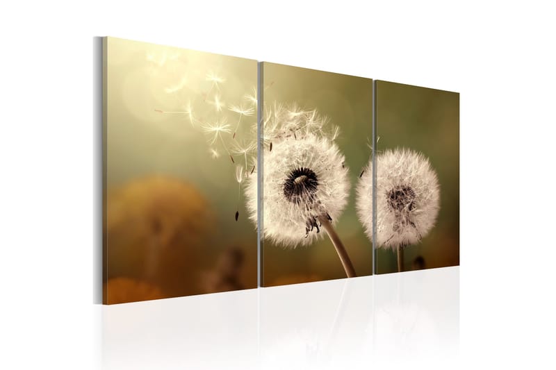 Tavla Whisper of Summer 60x30 - Artgeist sp. z o. o. - Inredning - Tavlor & konst - Canvastavlor
