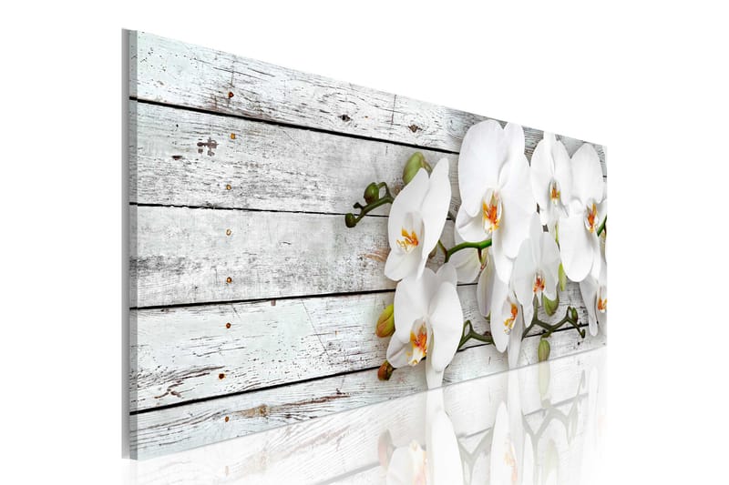 Tavla White Dreams 135x45, Artgeist sp. z o. o.