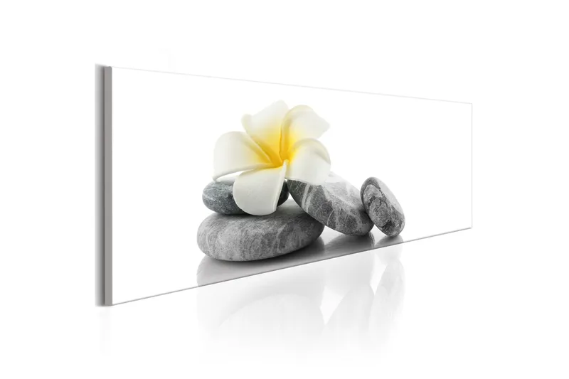 Tavla White Lotus 150x50, Artgeist sp. z o. o.
