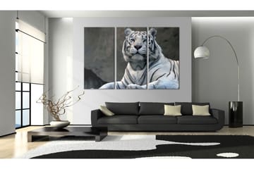 Tavla White Tiger 60x40 - Artgeist sp. z o. o. - Inredning - Tavlor & konst - Canvastavlor