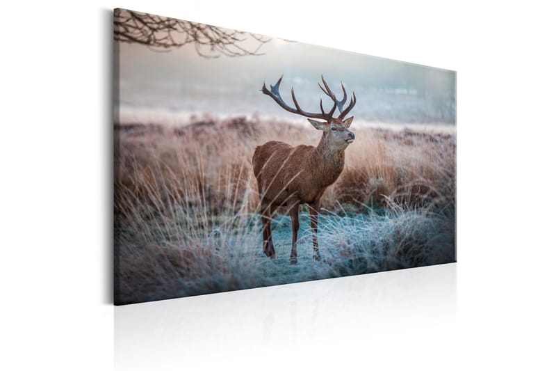 Tavla Wild Animal 90x60 - Artgeist sp. z o. o. - Inredning - Tavlor & konst - Canvastavlor