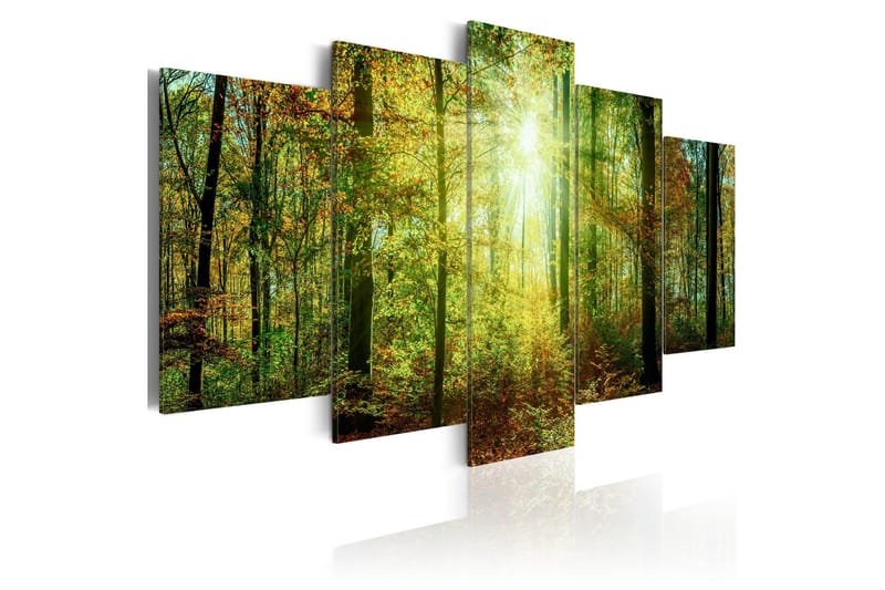 Tavla Wild Forest 100x50, Artgeist sp. z o. o.