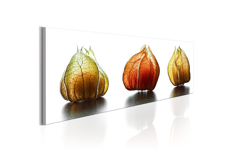Tavla Winter Cherry 120x40 - Inredning - Tavlor & konst - Canvastavlor