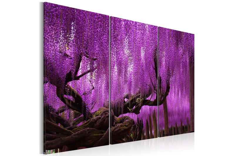 Tavla Wisteria 120x80, Artgeist sp. z o. o.