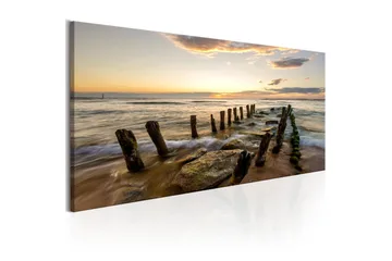 Tavla Wooden Breakwaters 120x40 - Inredning - Tavlor & konst - Canvastavlor