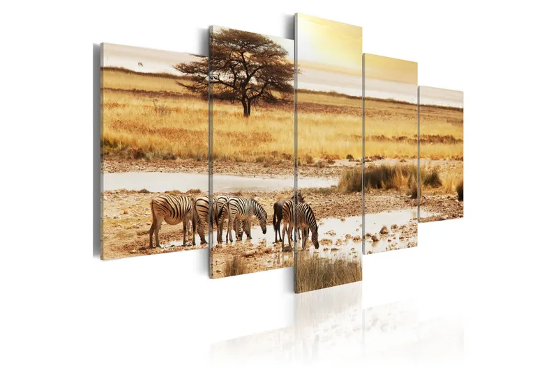 Tavla Zebras On A Savannah 200x100, Artgeist sp. z o. o.
