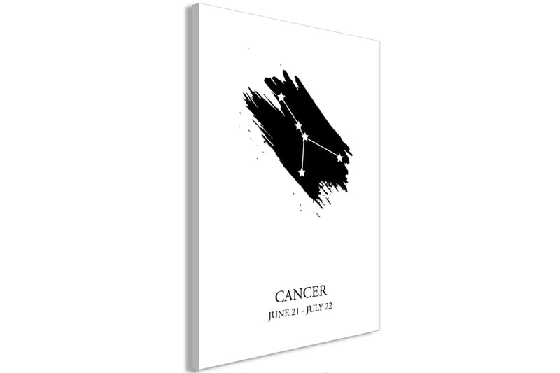 Tavla Zodiac Signs: Cancer (1 Part) Vertical 60x90 - Artgeist sp. z o. o. - Inredning - Tavlor & konst - Canvastavlor