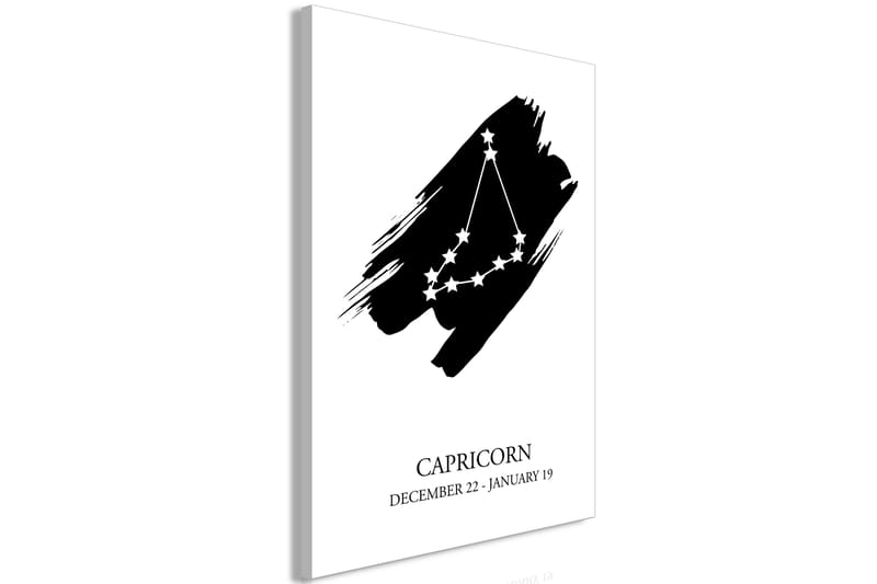 Tavla Zodiac Signs: Capricorn (1 Part) Vertical 40x60 - Artgeist sp. z o. o. - Inredning - Tavlor & konst - Canvastavlor