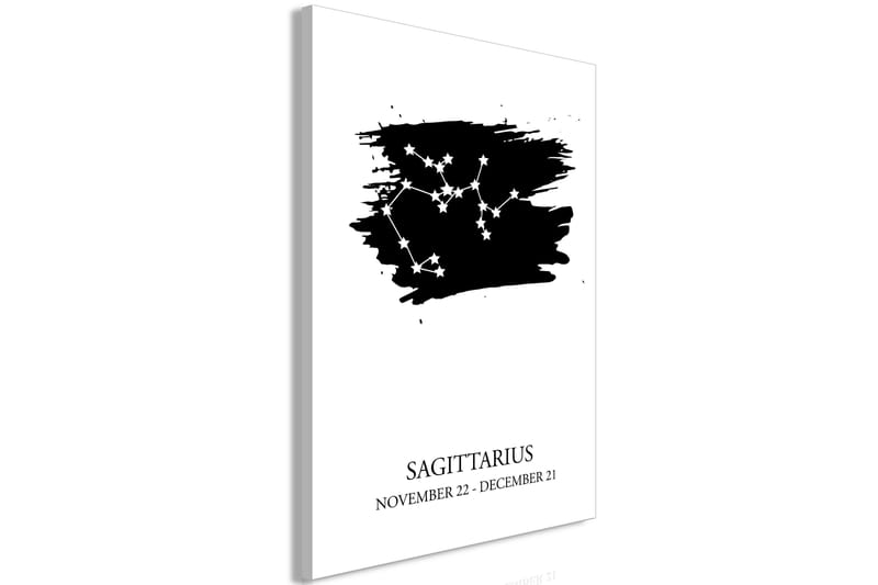 Tavla Zodiac Signs: Sagittarius (1 Part) Vertical 40x60 - Artgeist sp. z o. o. - Inredning - Tavlor & konst - Canvastavlor