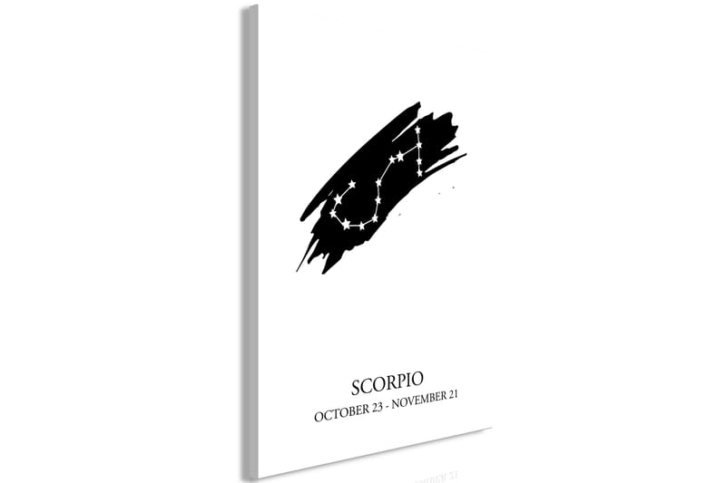 Tavla Zodiac Signs: Scorpio (1 Part) Vertical 60x90 - Artgeist sp. z o. o. - Inredning - Tavlor & konst - Canvastavlor