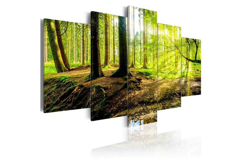 Tavla Poetry Of A Forest 100x50, Artgeist sp. z o. o.