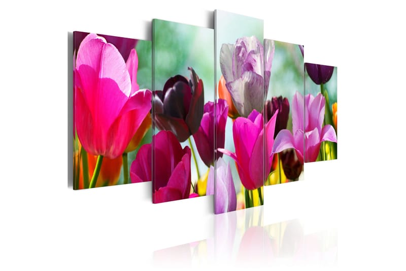 Tavla Pink Fun 100x50, Artgeist sp. z o. o.