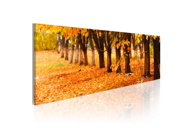Tavla Park Covered With Golden Leaves 135x45 cm, undefined