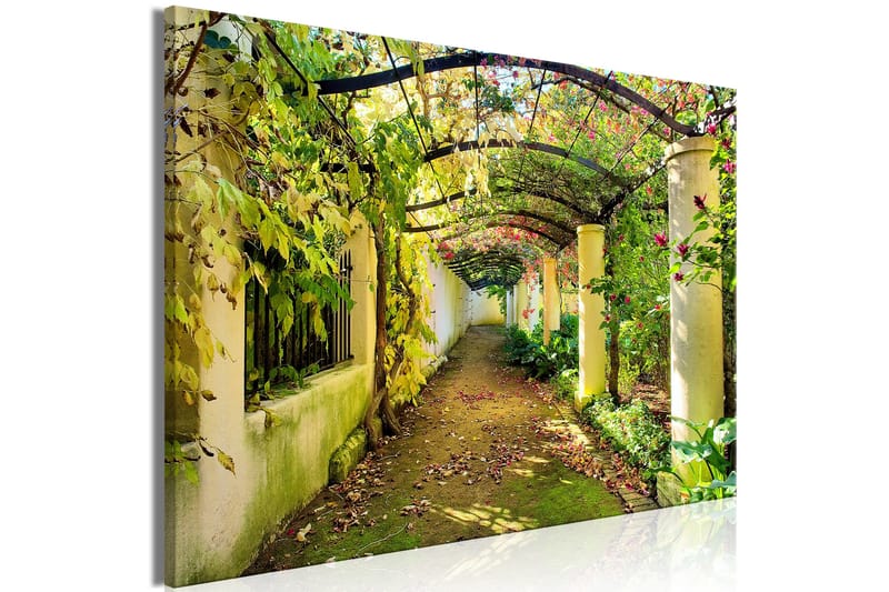 Tavla Pergola (1 Part) Wide 120x80 - Artgeist sp. z o. o. - Inredning - Tavlor & konst - Canvastavlor