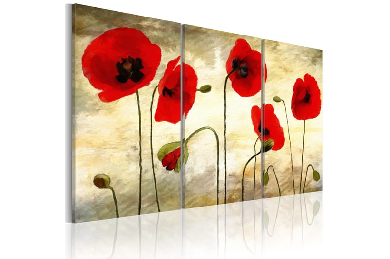 Tavla Paper Thin Beauties 60x40, Artgeist sp. z o. o.