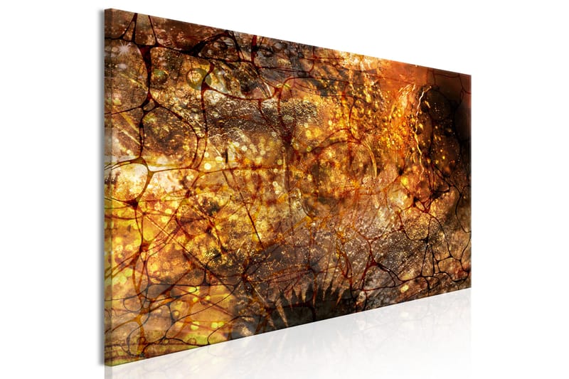 Tavla Pupil 1 Part Narrow 150x50 - Artgeist sp. z o. o. - Inredning - Tavlor & konst - Canvastavlor