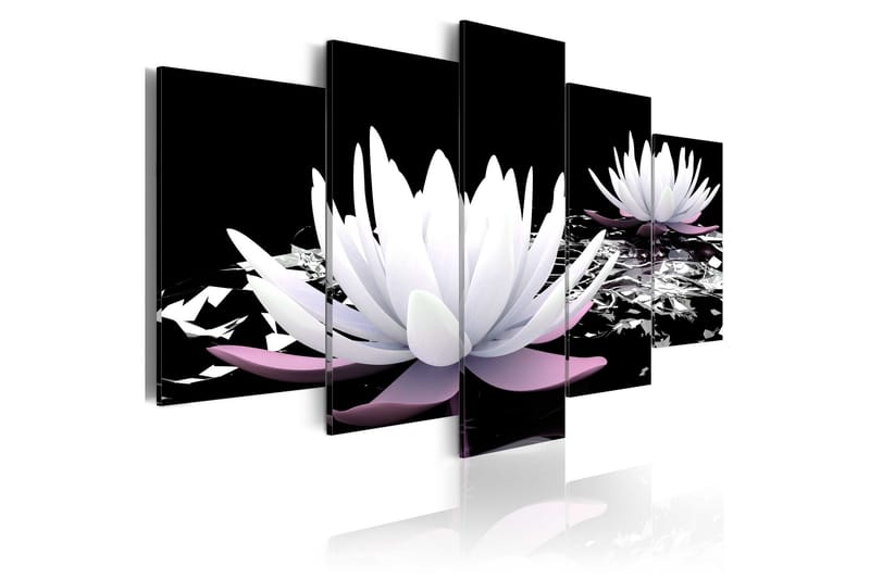 Tavla Passing Beauty 100x50 - Artgeist sp. z o. o. - Inredning - Tavlor & konst - Canvastavlor