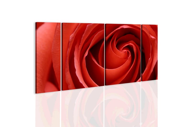 Tavla Passionate Rose 60x30 - Artgeist sp. z o. o. - Canvastavlor