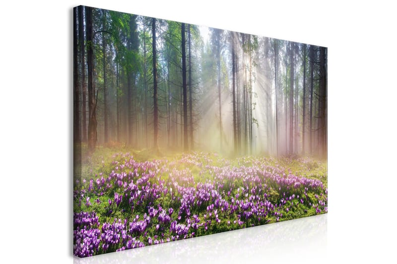 Tavla Purple Meadow (1 Part) Wide 120x60 - Artgeist sp. z o. o. - Inredning - Tavlor & konst - Canvastavlor