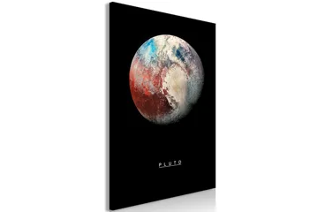Tavla Pluto (1 Part) Vertical 60x90 - Artgeist sp. z o. o. - Inredning - Tavlor & konst - Canvastavlor