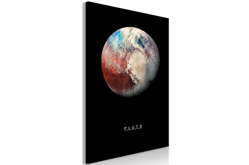 Tavla Pluto (1 Part) Vertical 40x60 - Artgeist sp. z o. o. - Inredning - Tavlor & konst - Canvastavlor