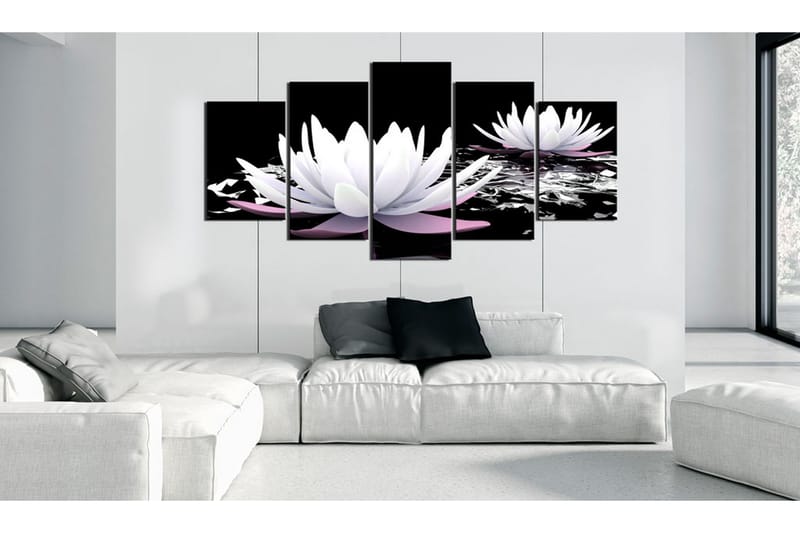 Tavla Passing Beauty 100x50 - Artgeist sp. z o. o. - Inredning - Tavlor & konst - Canvastavlor