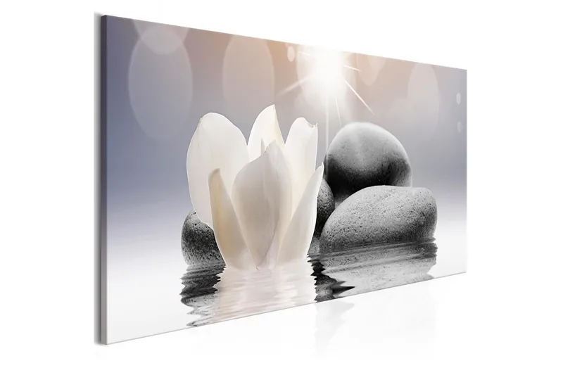 Tavla Pebbles In Water 1 Part Narrow 150x50 - Artgeist sp. z o. o. - Inredning - Tavlor & konst - Canvastavlor