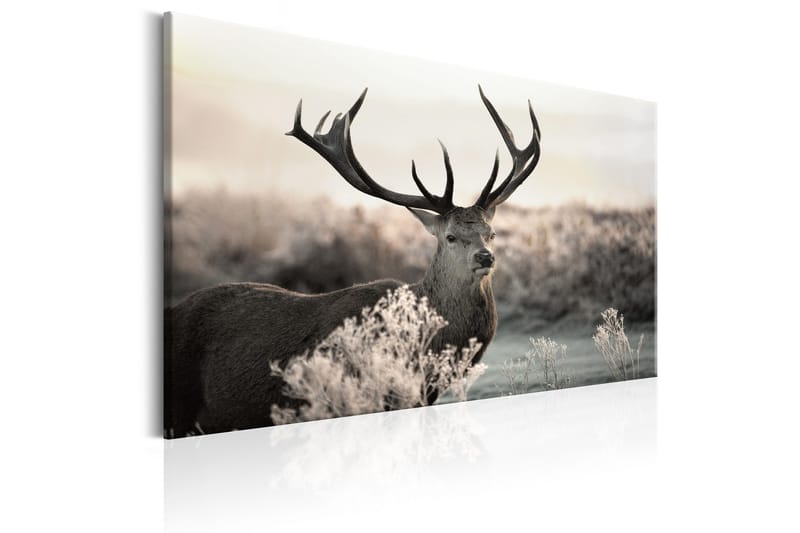 Tavla Powerful Horns 90x60 - Artgeist sp. z o. o. - Inredning - Tavlor & konst - Canvastavlor