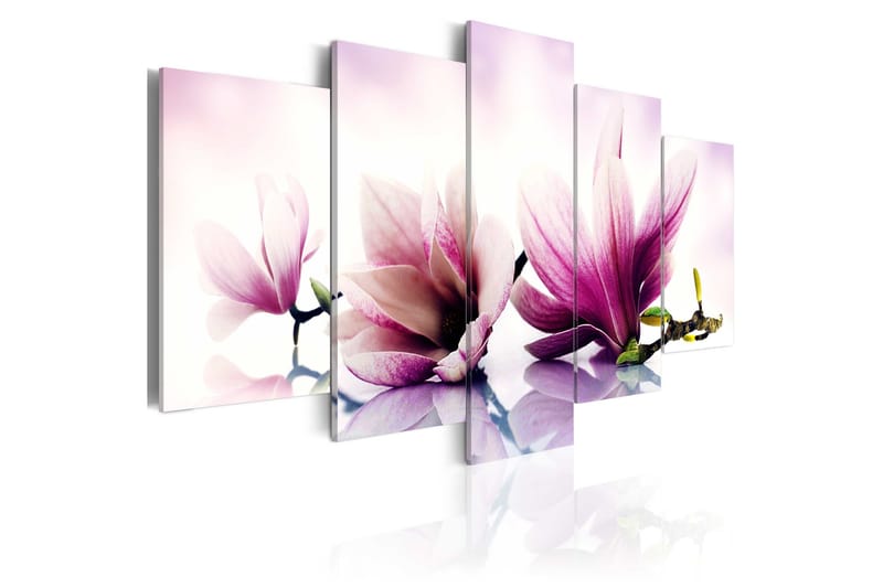 Tavla Pink Flowers Magnolias 100x50, Artgeist sp. z o. o.