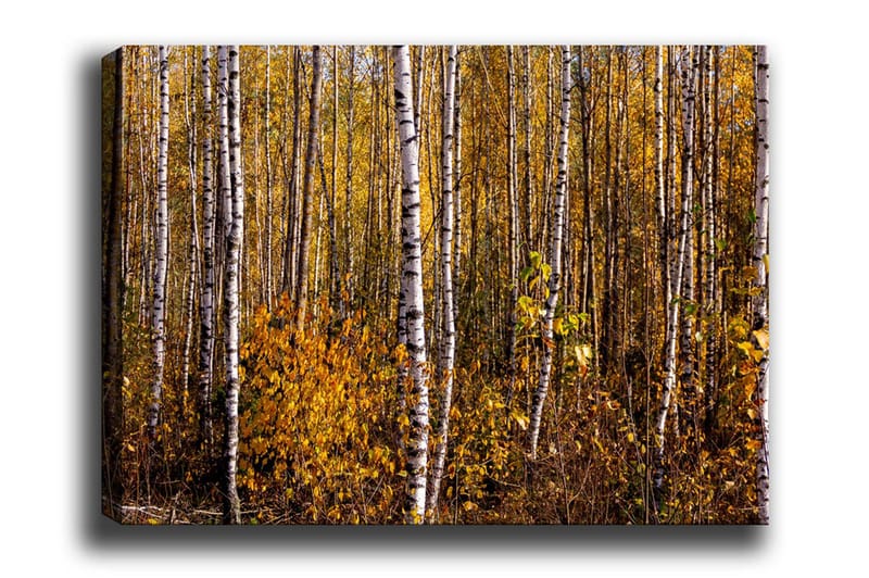 Väggdekor Canvas Målning - Inredning - Tavlor & konst - Canvastavlor