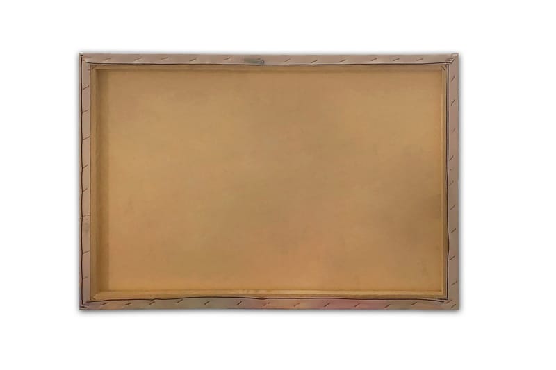 Väggdekor Canvastavla Bract Abstract - 70x50 cm - Inredning - Tavlor & konst - Canvastavlor