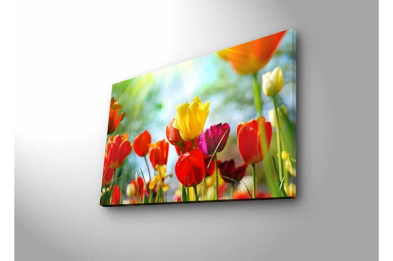 Väggdekor LED-belysning Canvas Målning - Inredning - Tavlor & konst - Canvastavlor