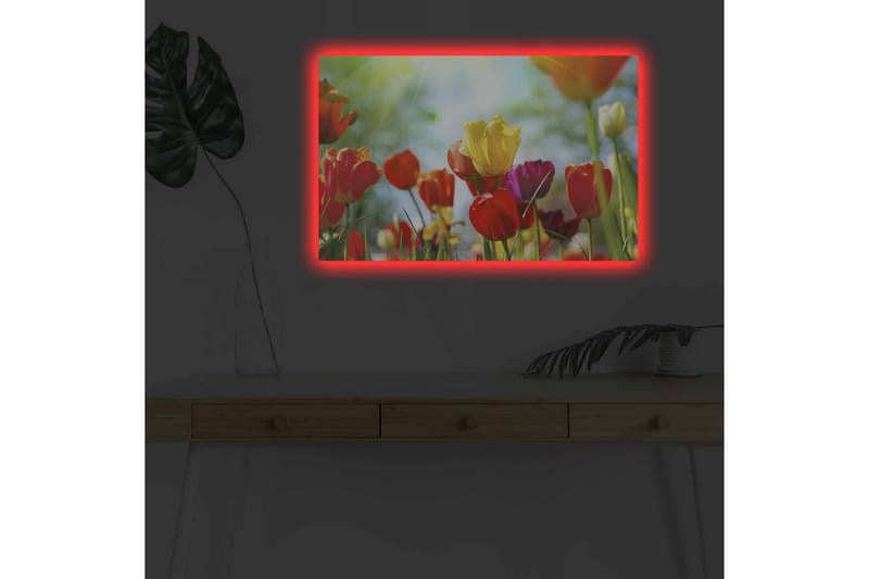 Väggdekor LED-belysning Canvas Målning - Inredning - Tavlor & konst - Canvastavlor