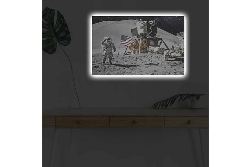 Väggdekor LED-belysning Canvas Målning - Inredning - Tavlor & konst - Canvastavlor