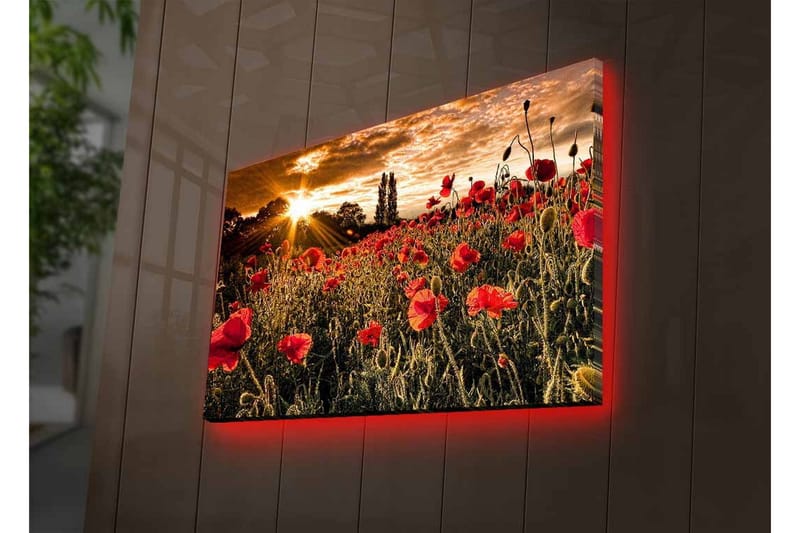 Väggdekor LED-belysning Canvas Målning - Inredning - Tavlor & konst - Canvastavlor