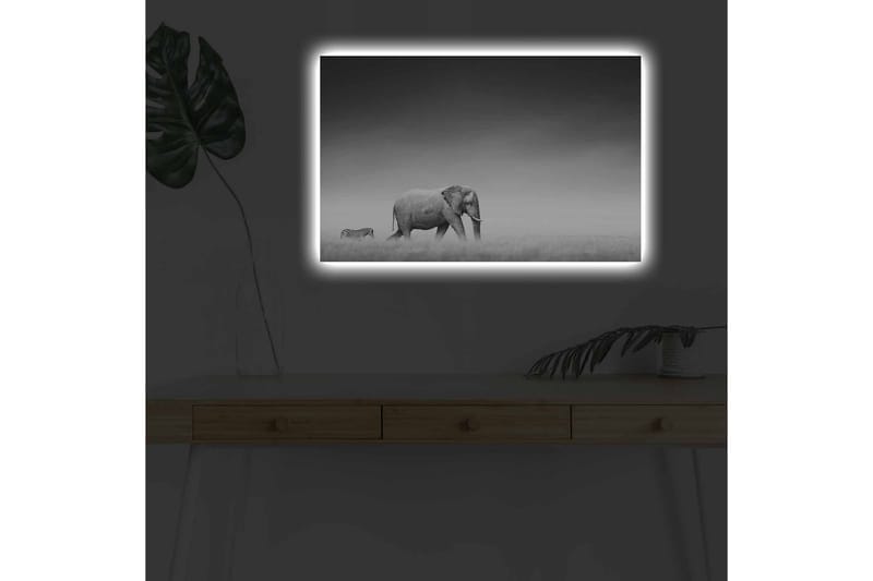 Väggdekor LED-belysning Canvas Målning - Inredning - Tavlor & konst - Canvastavlor