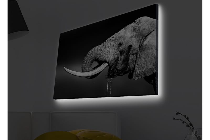 Väggdekor LED-belysning Canvas Målning - Inredning - Tavlor & konst - Canvastavlor