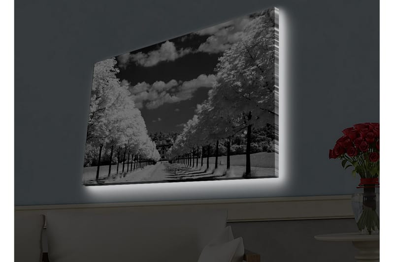 Väggdekor LED-belysning Canvas Målning - Inredning - Tavlor & konst - Canvastavlor