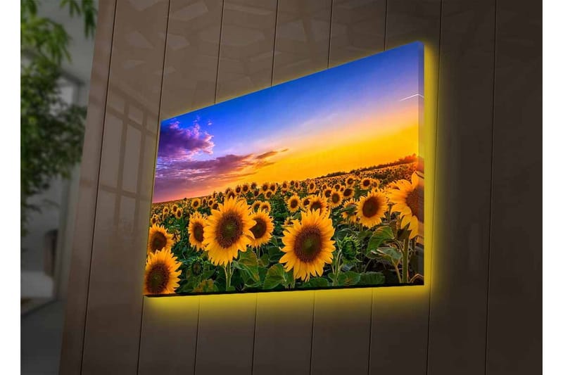 Väggdekor LED-belysning Canvas Målning - Inredning - Tavlor & konst - Canvastavlor
