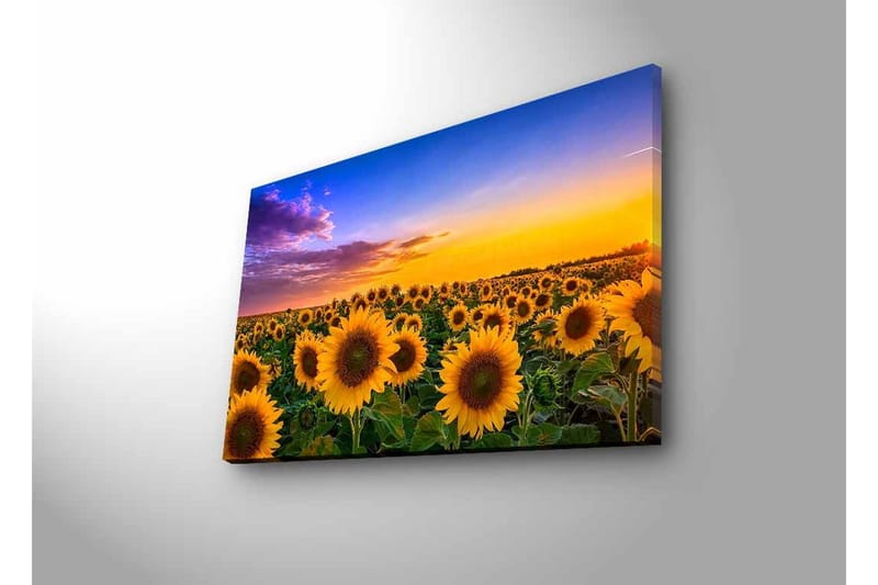 Väggdekor LED-belysning Canvas Målning - Inredning - Tavlor & konst - Canvastavlor