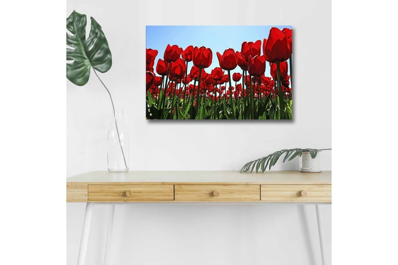 Väggdekor LED-belysning Canvas Målning - Inredning - Tavlor & konst - Canvastavlor