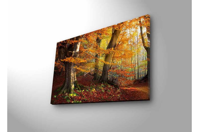 Väggdekor LED-belysning Canvas Målning - Inredning - Tavlor & konst - Canvastavlor