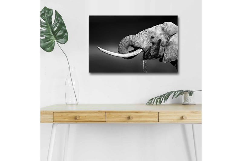 Väggdekor LED-belysning Canvas Målning - Inredning - Tavlor & konst - Canvastavlor