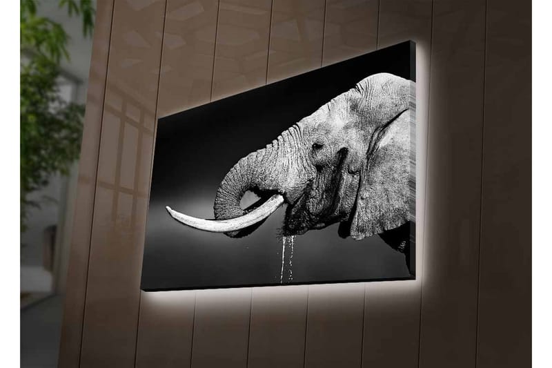 Väggdekor LED-belysning Canvas Målning - Inredning - Tavlor & konst - Canvastavlor